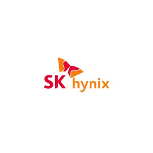 HYNIX HMCG78CHBRA 16GB DDR5 6400 SDRAM RDIMM CL52 Low Profile Memory-HMCG78CHBRA