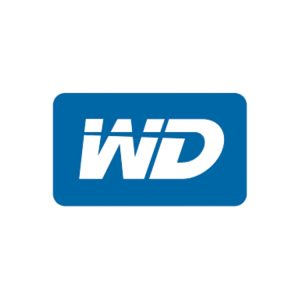 WD_BLACK SN8100 WDS100T1X0M 1TB M.2 2280 NVMe SSD, Without Heatsink-WDS100T1X0M